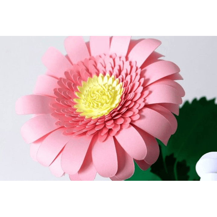 ARQUIVO DE CORTE MOLDES DE FLORES (PNG) 4