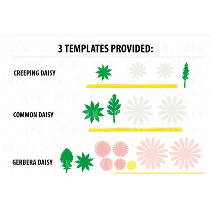 ARQUIVO DE CORTE MOLDES DE FLORES (PNG) 5