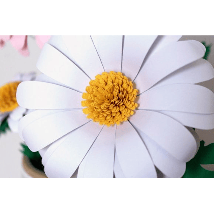 ARQUIVO DE CORTE MOLDES DE FLORES (PNG) 7