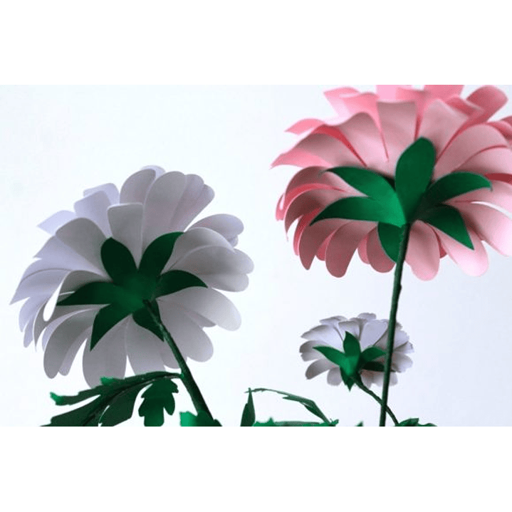 ARQUIVO DE CORTE MOLDES DE FLORES (PNG) 8