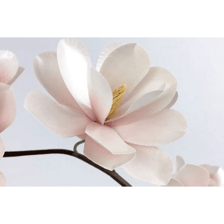 ARQUIVO DE CORTE MOLDES DE FLORES (PNG) 1