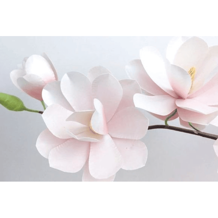 ARQUIVO DE CORTE MOLDES DE FLORES (PNG) 3