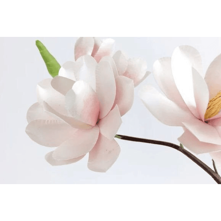 ARQUIVO DE CORTE MOLDES DE FLORES (PNG) 4