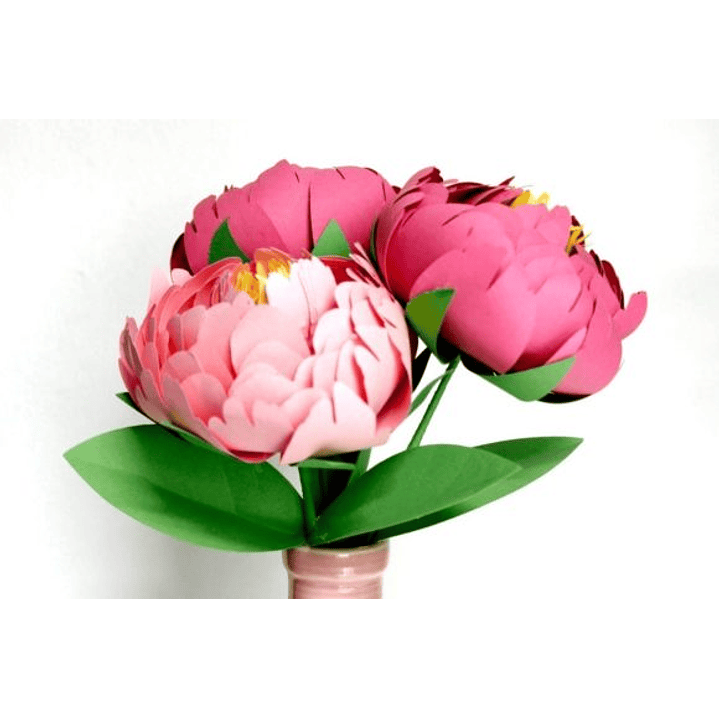 ARQUIVO DE CORTE MOLDES DE FLORES (PNG) 4