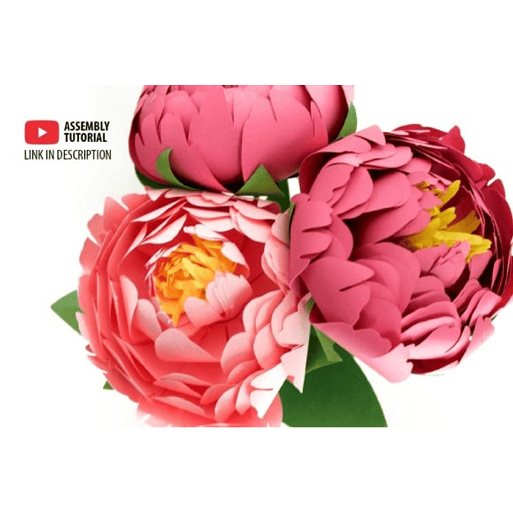 ARQUIVO DE CORTE MOLDES DE FLORES (PNG) 5