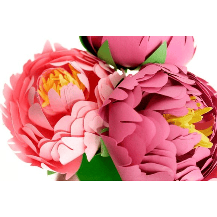 ARQUIVO DE CORTE MOLDES DE FLORES (PNG) 1