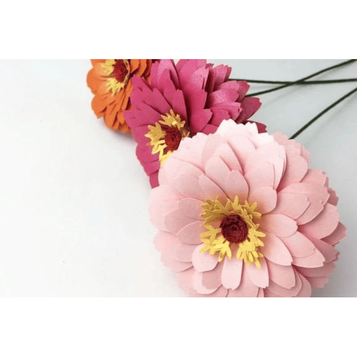 ARQUIVO DE CORTE MOLDES DE FLORES (PNG) 2