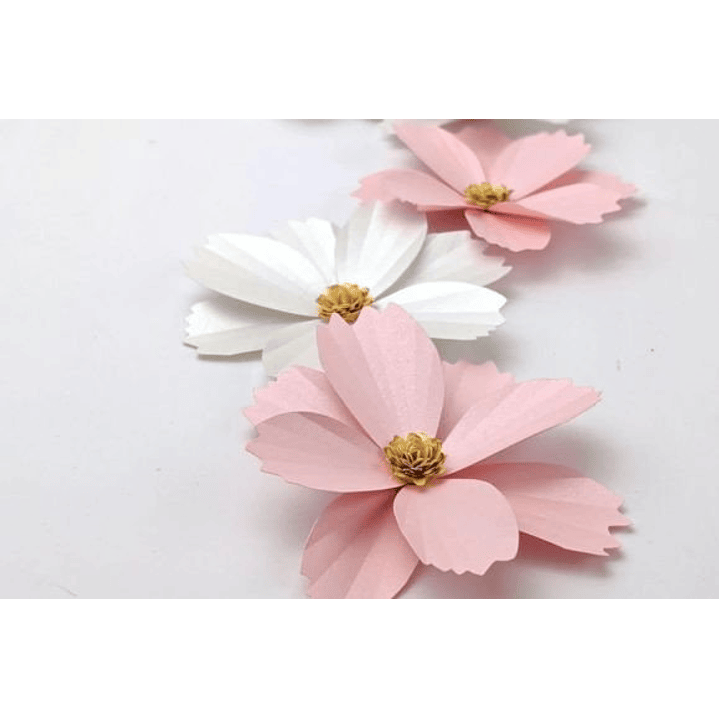 ARQUIVO DE CORTE MOLDES DE FLORES (PNG) 2