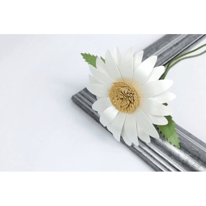 ARQUIVO DE CORTE MOLDES DE FLORES (PNG) 1