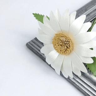 ARQUIVO DE CORTE MOLDES DE FLORES (PNG)