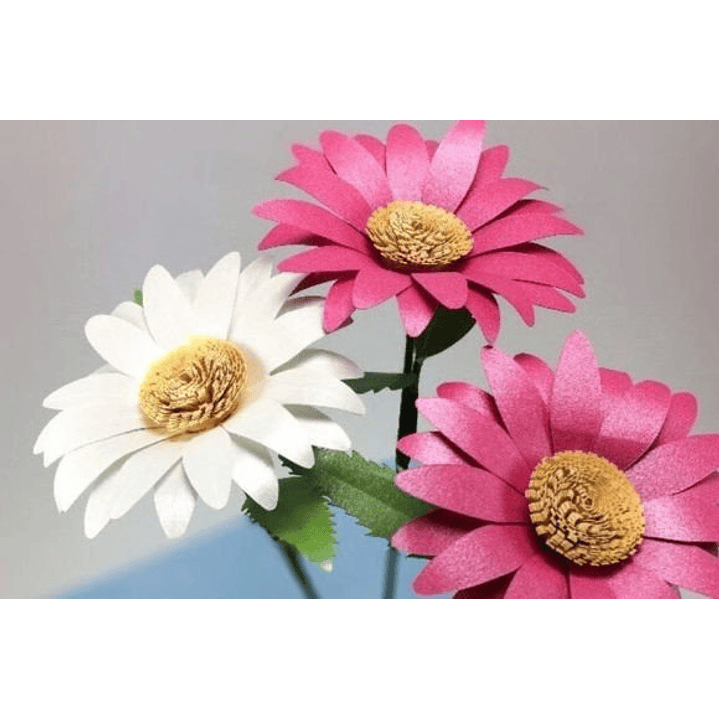 ARQUIVO DE CORTE MOLDES DE FLORES (PNG) 2