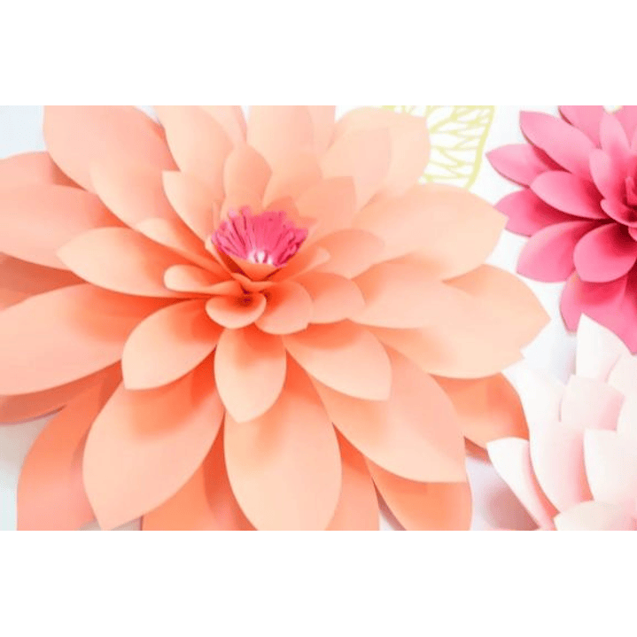 ARQUIVO DE CORTE MOLDES DE FLORES (PNG) 2