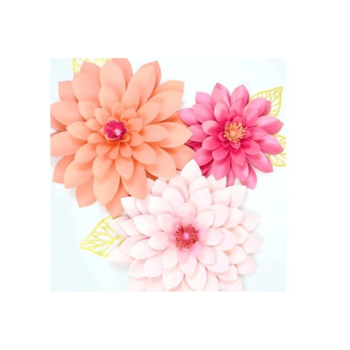 ARQUIVO DE CORTE MOLDES DE FLORES (PNG) 3