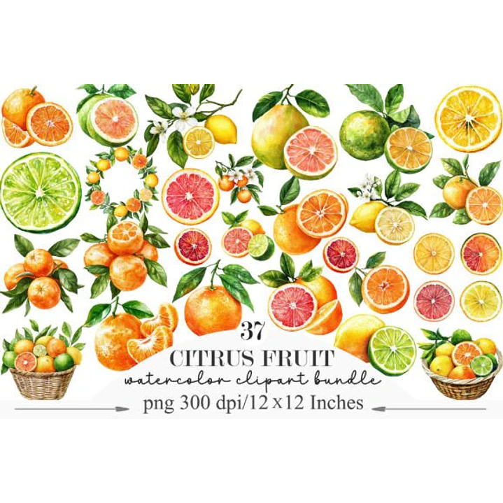 KIT DIGITAL FRUTAS CITRICAS (PNG) 1