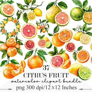 KIT DIGITAL FRUTAS CITRICAS (PNG)