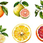 KIT DIGITAL FRUTAS CITRICAS (PNG) - Thumbnail 3