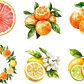 KIT DIGITAL FRUTAS CITRICAS (PNG) - Thumbnail 4
