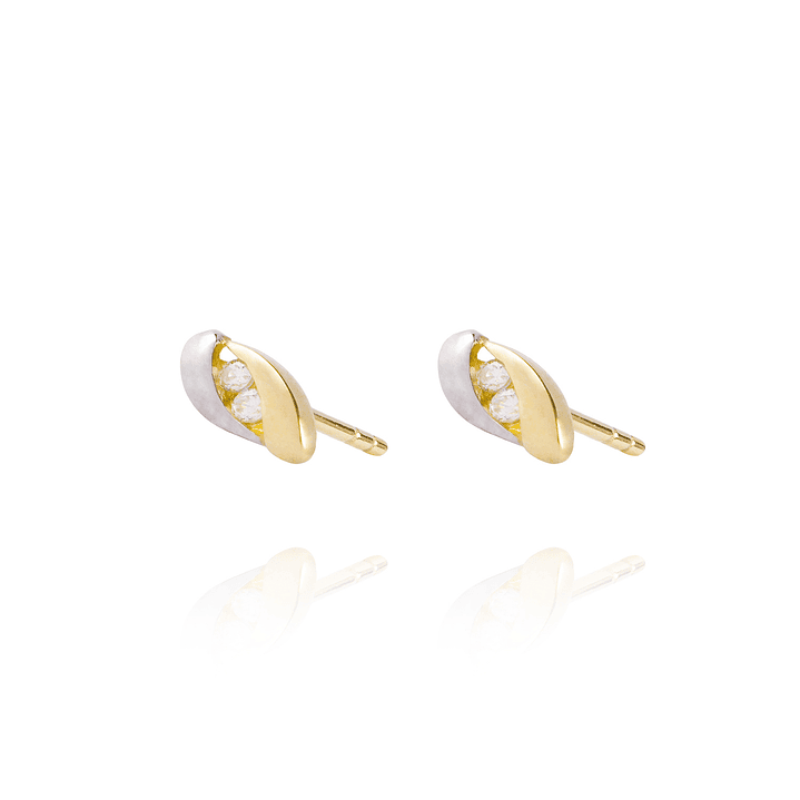 Aros de Oro 18kt Bicolor 2 Circones 2