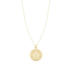 Colgante de Oro 18kt Placa Tortuga de mar