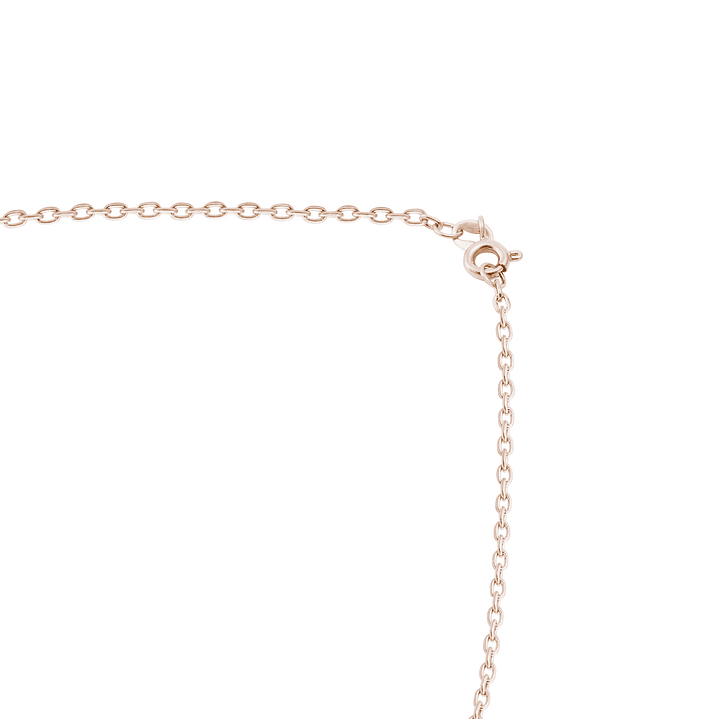 Cadena en Oro Miel 18kt Brillo Limado 3