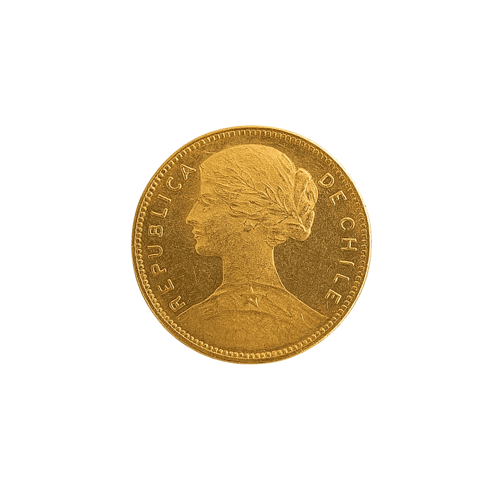 Moneda Colección 1913 20 pesos 3