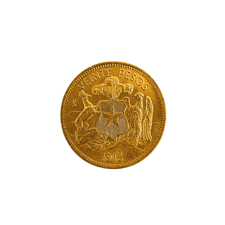 Moneda Colección 1913 20 pesos 4