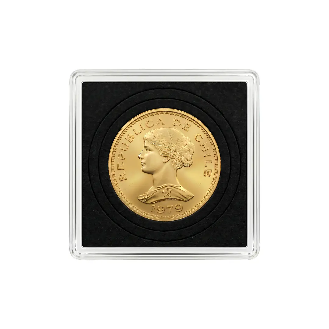 Moneda chilena de 100 pesos año 1979 3