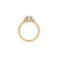 Anillo Oro Amarillo 18kt Diamantes 64 Pts Halo Central - Miniatura 2