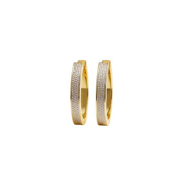 Aros Oro 18kt  Argolla Bicolor 1