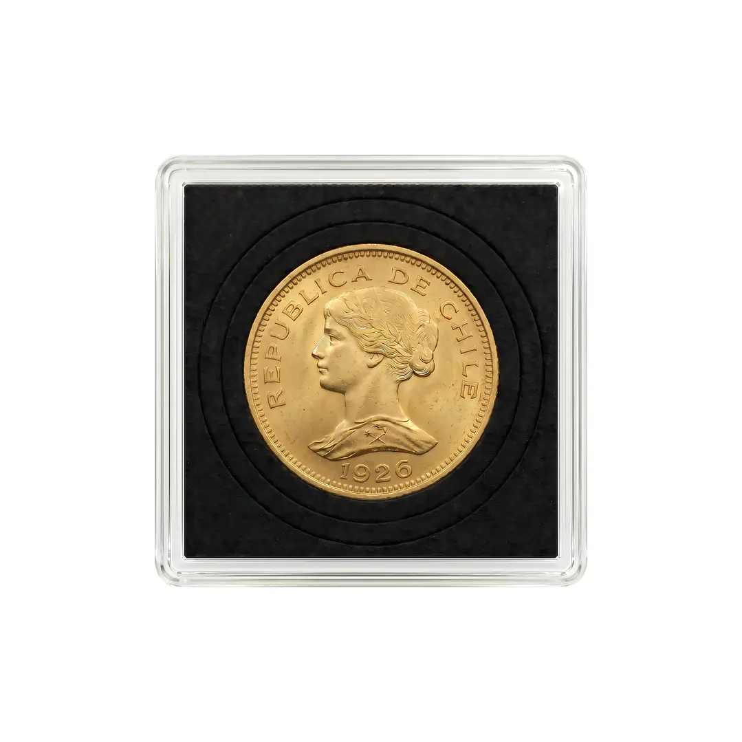 Moneda de Oro Chilena Colección 100 pesos año 1920 al 1929 3