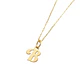 Colgante de Oro Miel 18kt Estrella David Contorno - Miniatura 2