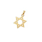 Colgante de Oro Miel 18kt Estrella de David Calada - Miniatura 1