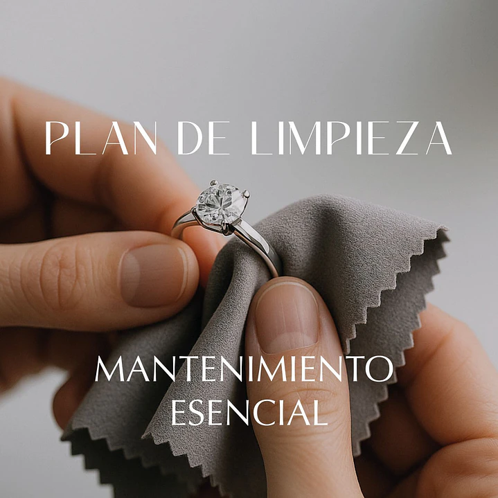 Servicio de Limpieza Mantenimiento Esencial Único 1