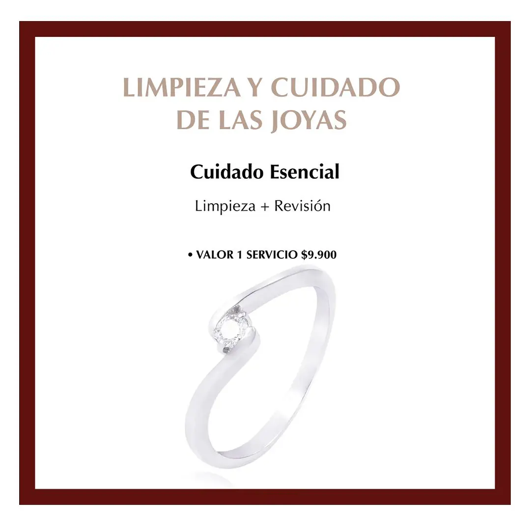 Servicio de Limpieza Mantenimiento Esencial Único 2