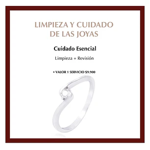 Servicio de Limpieza Mantenimiento Esencial Único