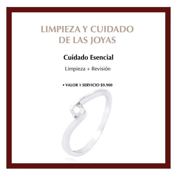 Servicio de Limpieza Mantenimiento Esencial Único 2