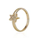 Anillo de Oro 18kt Estrella Circon - Miniatura 1