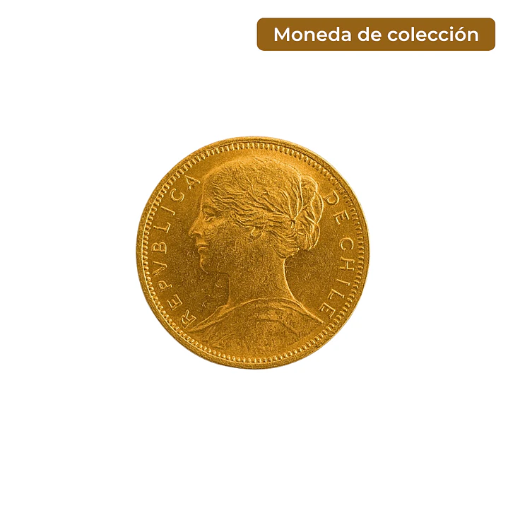 Moneda de Oro Chilena Colección 10 pesos año 1901 1