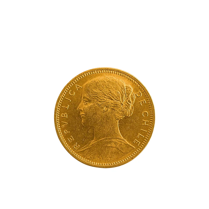 Moneda de Oro Chilena Colección 10 pesos año 1901 3