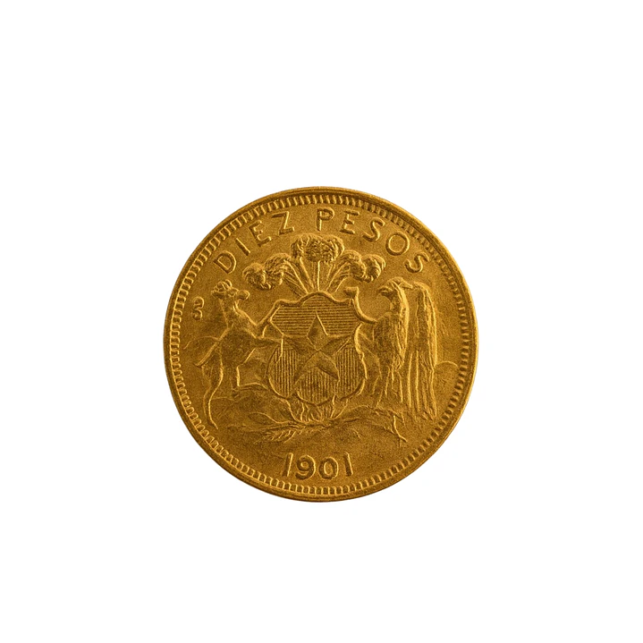 Moneda de Oro Chilena Colección 10 pesos año 1901 4
