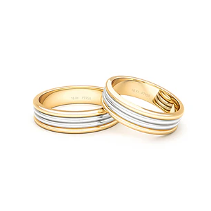 Par Argollas Matrimonio Bicolor de Oro amarillo y Platino Count 5,0mm