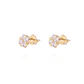 Aros de Plata Esterlina Flor Cuatro Circones Revestido en Oro 18kt - Miniatura 1