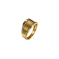 Anillo Oro 18kt Satinado - Miniatura 2