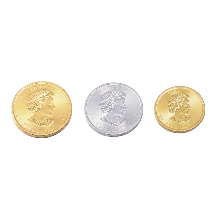 Moneda de Platino Canadiense RCM 1 OZ 4