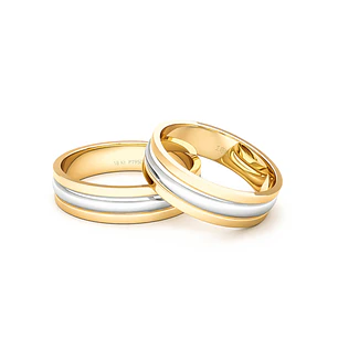 Par Argollas Matrimonio Oro Amarillo y Platino Prince 5,0mm