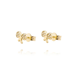 Aros de Oro 18kt Modelo Rosa