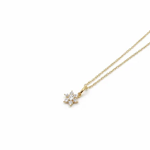 Colgante Oro Amarillo 18kt Flor Circonita