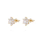 Aros de Oro 18kt Roseta Circonita Cubica - Miniatura 1