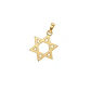 Colgante de Oro Miel 18kt Estrella de David Calada - Miniatura 1