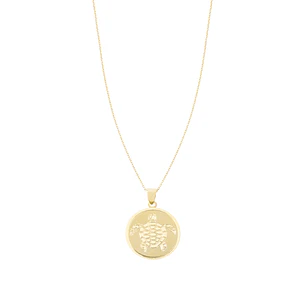 Colgante de Oro 18kt Placa Tortuga de mar